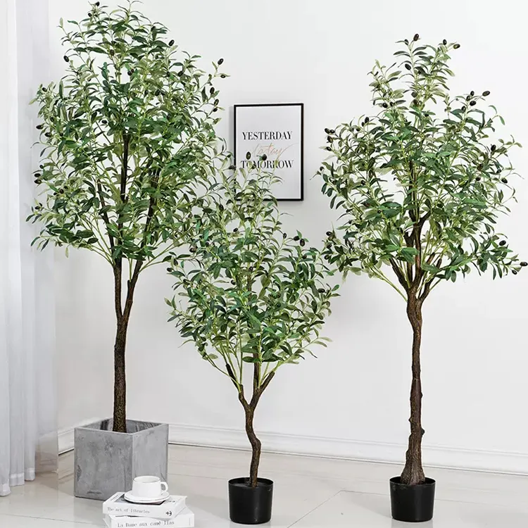Olive tree