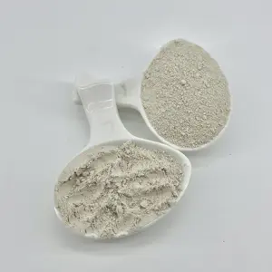 Good Price Kyanite Sillimanite Concentrate Powder Ceramic Coating Refractory High Quality Al2 SiO4 O