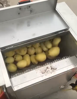 Machine industrielle électrique à brosser et à peler les légumes, les pommes de terre et le gingembre, éplucheur de légumes en acier inoxydable