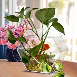 Pecera Hexagonal de 1 Galón para Colgar en la Pared, con Cadena de Luces Impermeable, Acuario de Acrílico Transparente - Product Image 6