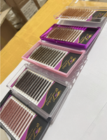 Fournitures en gros pour extensions de cils : Cils individuels en vison de qualité supérieure, colorés, 0.03/0.05/0.07, couleur marron, volume velours marron