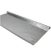 Rouleau de Film Mylar Argenté Réfléchissant à Revêtement Feuille d'Aluminium pour Usage Domestique, Montage Facile pour Photographie, Serre Intérieure et Culture