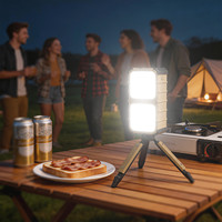 Batterie solaire portable 30000mAh pour l'extérieur, étanche IP65, chargeur portable avec filetage 1/4'' et double éclairage LED WT-S037