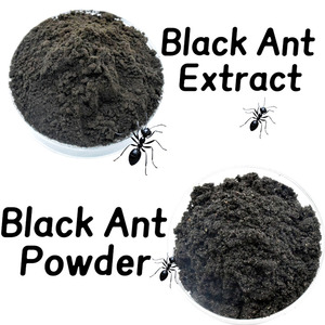 Vegan tàn ác miễn phí Đen Ant Sản phẩm thân thiện với màu đen Ant bột làm giảm mệt mỏi hiệu quả - Product Image 2
