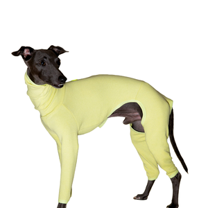 Ropa de invierno para mascotas algodón <span class=keywords><strong>galgo</strong></span> italiano Whippet base cálida ropa de cuatro patas suéter para perros - Product Image 1