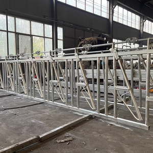 Équipement d'élevage bovin très demandé : Barrière de contention pour bovins durable, galvanisée à chaud, facile à nettoyer - Product Image 6