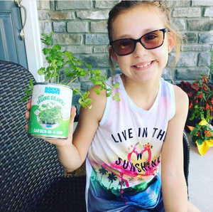 100% Kit de inicio de jardín de hierbas orgánicas para interiores con cilantro de menta de albahaca para cocinar el uso del suelo Regalo perfecto para jardinero - Product Image 4