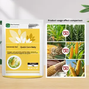 Engrais foliaire DAP pour maïs, renforcement des semis, prévention de l'amincissement des épis, augmentation du rendement - Product Image 3