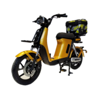 Vélo électrique hybride à assistance au pédalage pour adulte, 48V 250W 1000W, avec dispositif IoT pour la location et le partage, homologué CE CEE, type cyclomoteur, scooter, vélo tout-terrain