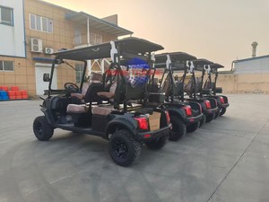 Carrito de Golf Eléctrico Personalizado de Fábrica, 7-8 Asientos, Motor de CA de 3/4/5KW, Batería de Plomo-Ácido, 40-50km/h, 90km de Autonomía, Buggy para Club de Golf - Product Image 3