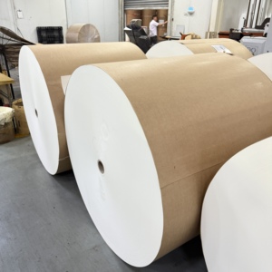 Rouleau de papier vierge en pâte de bois enduit de PE, imperméable, matière première pour la fabrication de gobelets en papier - Product Image 4