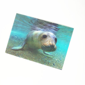 Carte postale lenticulaire personnalisée par le fabricant, impression lenticulaire 3D, carte photo 3D lenticulaire en plastique à effet de mouvement - Product Image 4