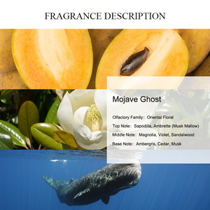Único aroma Mojave fantasma <span class=keywords><strong>Perfume</strong></span> aceite marca original alta calidad Unisex <span class=keywords><strong>Perfume</strong></span> venta al por mayor a granel diseñador fragancias aceites - Product Image 2