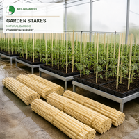 Piquets de jardin en bambou découpés avec précision, à extrémité biseautée et tranchante pour une insertion facile dans le sol, pour serres et pépinières, commande en gros