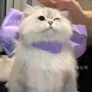 Corbata de lazo para gatos Mary, bufanda para mascotas, collar decorativo para gatos, collar para cachorros Bichon Frise, para gatos Ragdoll - Product Image 4