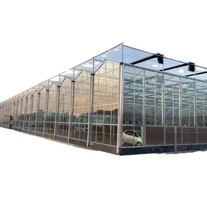 Grote Landbouwkassen Met Multi-Span Frame Gegalvaniseerd Staal En Glas Voor Buitenbeplanting