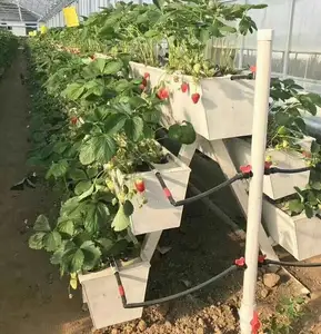 Aeroponic Hydroponic Nft System Vertical Farming System Strawberry Bed Strawberry Nft Gutter Plant Growing Troughs