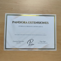 Papel de Seguridad para Certificados con Impresión Metálica Personalizada y Estampado en Caliente con Lámina Dorada