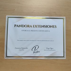 Certificat en papier de sécurité avec impression personnalisée en feuille d'or métallique à chaud - Product Image 3