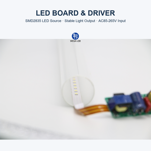 Tubo Fluorescente <span class=keywords><strong>LED</strong></span> T8 con Cubierta de Vidrio Personalizado 4 pies/1200 mm 6000-6500K G13 100lm/W PF0.9 CE ETL Iluminación Residencial Interior - Product Image 4
