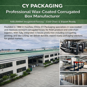 Cold Chain Ventilated Corrugated Carton for Blueberry Transport 10 LBS RSC Industrial Packaging <strong>Box</strong> - Product Image 6