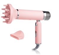 Usine directe en gros 2025 DC moteur sèche-cheveux nouveau coup personnalisé sèche-cheveux voyage ménage OEM avec concentrateur ion négatif