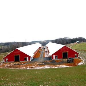 Bâtiments préfabriqués façonnés poulailler Double étage poulailler Double Decker poulailler - Product Image 6