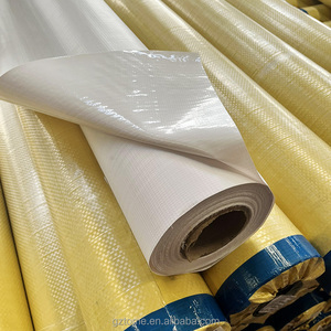 Cuộn Biểu Ngữ Flex Pvc In Trước 900x900D Biểu Ngữ Flex In Trước Được Phủ Mực In Sinh Thái 440G Nhiều Lớp Nóng/Biểu Ngữ Flex Có Đèn Nền - Product Image 2