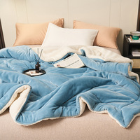 Fournisseur d'usine, style moderne, doux, nouvelle marque, épais, en peluche, 100% polyester, couverture en sherpa, couverture de lit