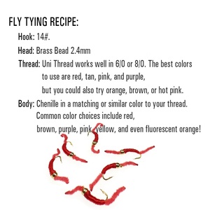 San Juan Worm Fly Fishing, tête de <span class=keywords><strong>mouche</strong></span> en laiton pour pêche à la <span class=keywords><strong>mouche</strong></span>, type Squirmy Wormy, pour truites et truites rousses, leurres de pêche, nymphes de vers de terre, appâts, hameçons - Product Image 2