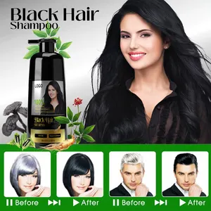 Champú de cabello negro natural de etiqueta privada Champú de tinte de cabello negro 3 en 1 para hombres y mujeres