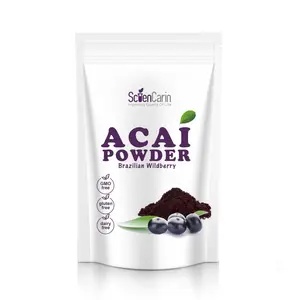 Factory Supply 100% Organic Natural Fruit Powder Acai Berry Powder