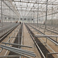 Atelier de traitement du foin en acier galvanisé, hangar préfabriqué pour machines agricoles, abri pour moutons