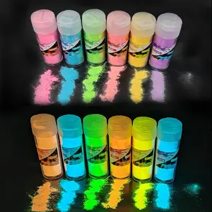 Kits de pigments de résine en poudre lumineuse 20 g/bouteille Poudre phosphorescente dans le noir chargée par la lumière Poudre phosphorescente dans le noir