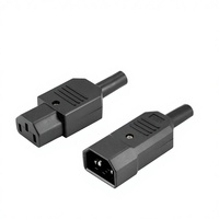 Accessoires de câblage pour prise d'alimentation PDU 10A à interface C13 à trois broches pour ordinateur à écran couleur et cuiseur à riz