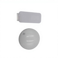 Ampoule LED Intelligente Connectée Wi-Fi Culot E27 Globe Alimentée par Courant Alternatif Plafonnier Dimmable RGB Lampe Intelligente pour Maison et Chambre d'Hôtel