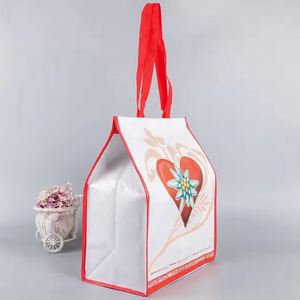 Thermal Eco-Friendly Cooler Bag with Custom Logo Silk Screen Printing Non-Woven Coffee Juice <b>Lunch</b> Grocery <b>Backpack</b> - Product Image 2