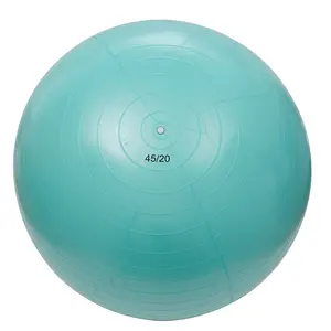 Good quality Eco Friendly Anti-burst Fitness Yoga Exercise yoga gym Ball with custom logo