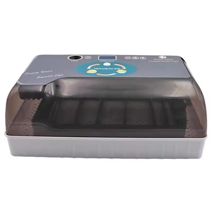 Mini incubadora de huevos y incubadora de pantalla electrónica para incubar huevos de gallina, nueva condición para la venta, 12 Uds. - Product Image 1