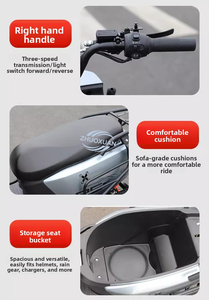 มอเตอร์ไซค์ไฟฟ้าสามล้อ 1000W Sky 72V ความเร็วสูง แบบเปิดประทุน สำหรับส่งของ รับน้ำหนัก 100-200 กก. - Product Image 3