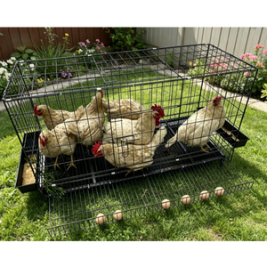 Gabbia Portatile per Uccelli da Esterno per Avvistamento Faunistico, Allevamento di Animali Domestici e Gatti, Attrezzatura per Allevamenti di Pollame e Animali da Fattoria - <span class=keywords><strong>Vendita</strong></span> Diretta dalla Fabbrica all'Ingrosso - Product Image 1
