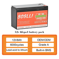 Batterie au lithium 12V 24V 7Ah 8Ah 9Ah 12Ah 15Ah 20Ah 38Ah 40Ah 45Ah Batterie solaire Lifepo4 pour jouets pour enfants et caméras de sécurité