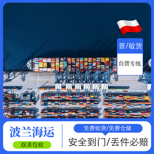 Sea Whale Poland Sea Freight Line International Logistics Freight Forwarding DDP Door To Door Express Service - Product Image 3