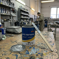 Poudre de mica fine MLB pour peinture automobile effet caméléon |   Peinture automobile à application lisse pour garages de véhicules personnalisés, apprêt automobile