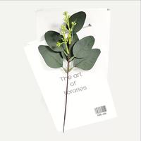 Bunga Eucalyptus Buatan Laris Manis, Daun Campuran, Tangkai Dekorasi Rumah, Daun Eucalyptus, Cabang Hijau, Dekorasi Rumah