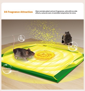 Wholesale Indoor/<strong>Outdoor</strong> Easy Strong Stickiness Adhesive Mouse Rat Glue Trap Board High Cost Solid Paperboard Pest Mice Control - Product Image 5