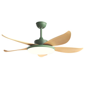 Nordic Style Ceiling Fan Light With Led Light 220V For Living Room Bedroom Fixed Blade Design - Product Image 1