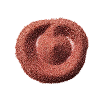 MEIQI MQ-WS012 Poudre de coque de noix, granulométrie 100 mesh, abrasifs pour gommage corporel cosmétique, sablage et nettoyage