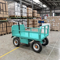 Carro eléctrico de almacenamiento de plataforma de acero personalizable OEM para transporte de jardín herramientas industriales embalaje de verduras de cuatro ruedas