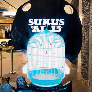 Toptan büyük lüks çelik tel süs kuş taşıyıcı özel <span class=keywords><strong>PVC</strong></span> arka plan dekoratif kafes papağanlar kutusu için paketlenmiş - Product Image 2